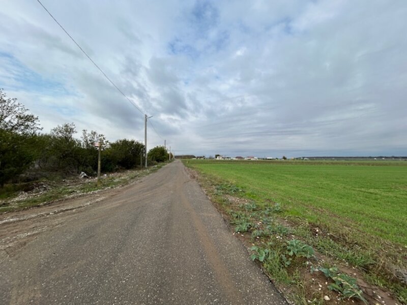 Darvari Ciorogarla Str Tineretului 2 loturi 500 mp zona in dezvoltare