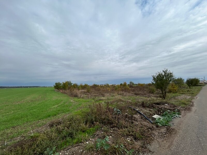 Darvari Ciorogarla Str Tineretului 2 loturi 500 mp zona in dezvoltare