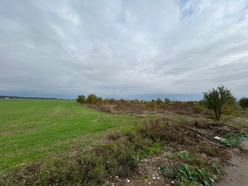 Darvari Ciorogarla Str Tineretului 2 loturi 500 mp zona in dezvoltare