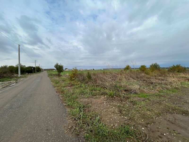 Darvari Ciorogarla Str Tineretului 2 loturi 500 mp zona in dezvoltare