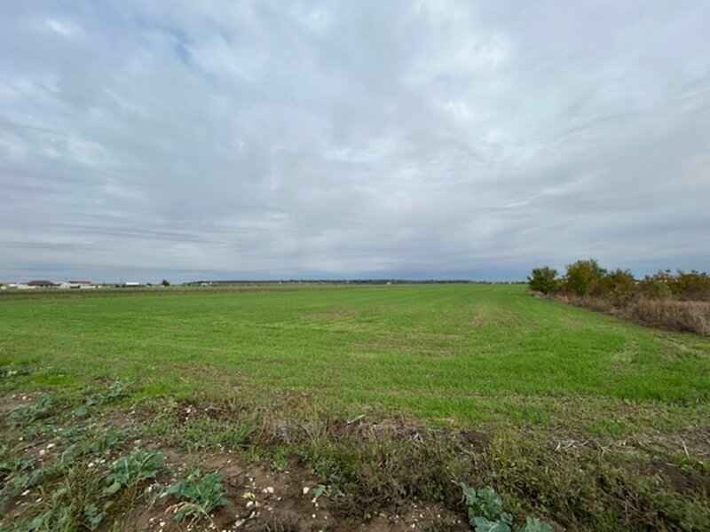 Darvari Ciorogarla Str Tineretului 2 loturi 500 mp zona in dezvoltare